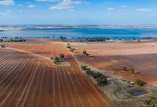 Loddon Mallee Public Health Unit